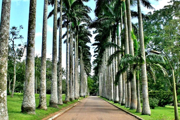 Aburi Botanical Gardens