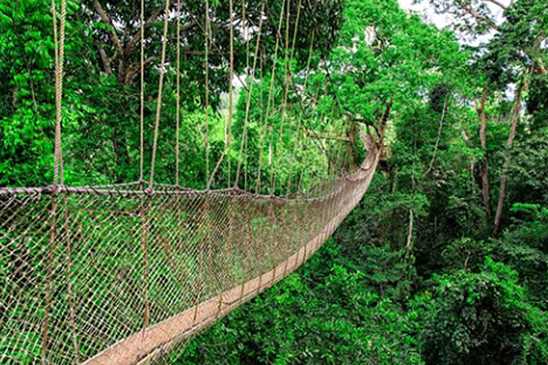 Kakum National Park